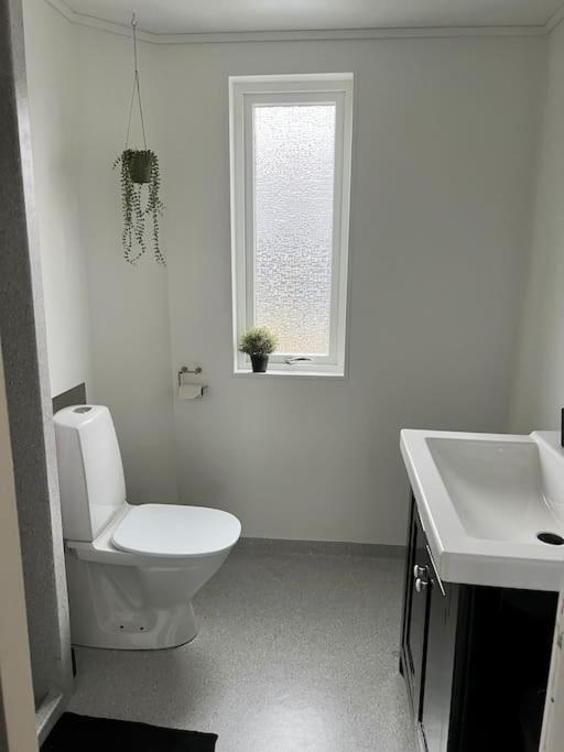 Apartment In The Center Of Torshavn, Free Parking. Kültér fotó